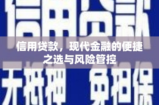 八德信用贷款，现代金融的便捷之选与风险管控