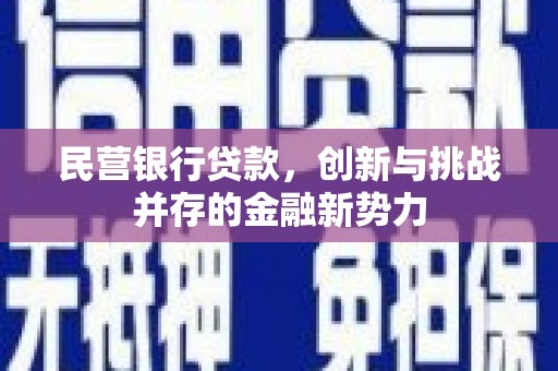 八德民营银行贷款，创新与挑战并存的金融新势力