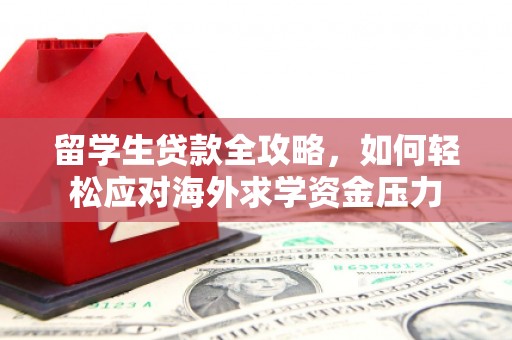 八德留学生贷款全攻略，如何轻松应对海外求学资金压力