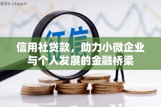 八德信用社贷款，助力小微企业与个人发展的金融桥梁