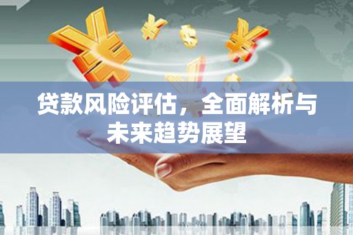 八德贷款风险评估，全面解析与未来趋势展望