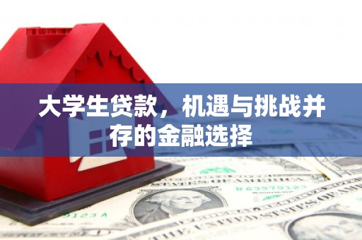 八德大学生贷款，机遇与挑战并存的金融选择