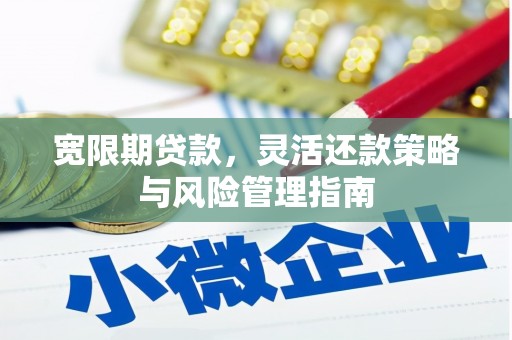 八德宽限期贷款，灵活还款策略与风险管理指南