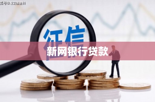 八德新网银行贷款