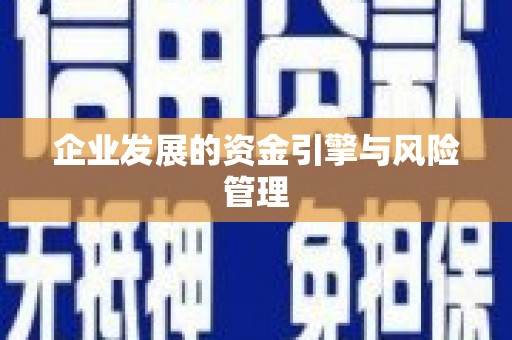 八德企业发展的资金引擎与风险管理