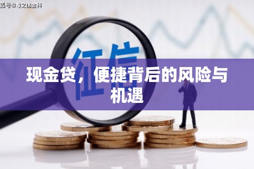 八德现金贷，便捷背后的风险与机遇