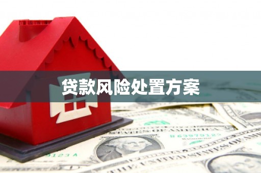 八德贷款风险处置方案