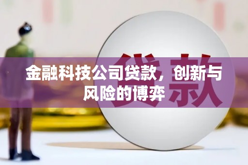 八德金融科技公司贷款，创新与风险的博弈