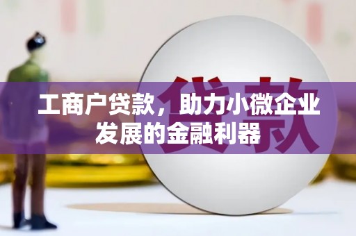 八德工商户贷款，助力小微企业发展的金融利器