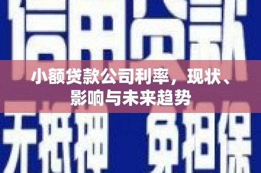 八德小额贷款公司利率，现状、影响与未来趋势