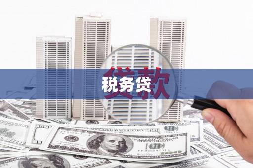 八德税务贷
