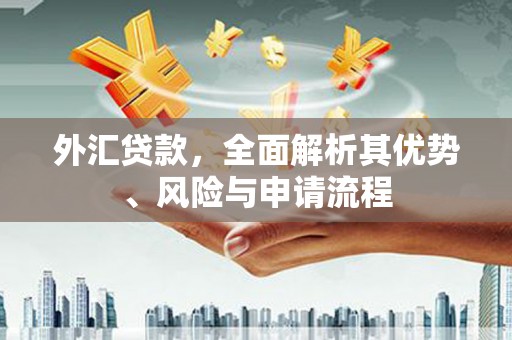 八德外汇贷款，全面解析其优势、风险与申请流程