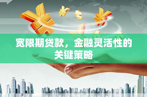 八德宽限期贷款，金融灵活性的关键策略