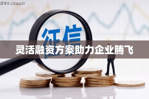 八德灵活融资方案助力企业腾飞