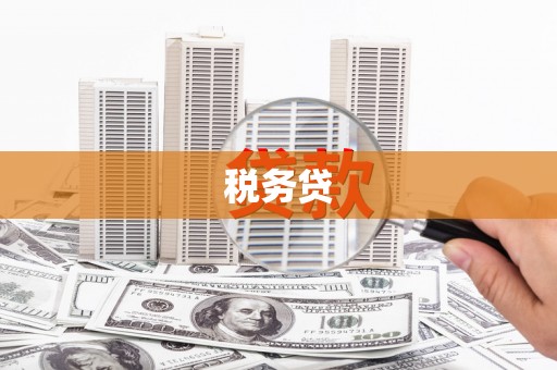 八德税务贷
