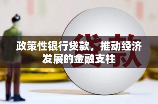 八德政策性银行贷款，推动经济发展的金融支柱