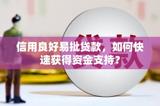 八德信用良好易批贷款，如何快速获得资金支持？