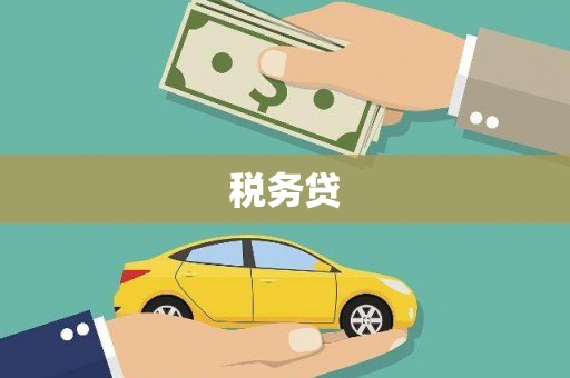 八德税务贷