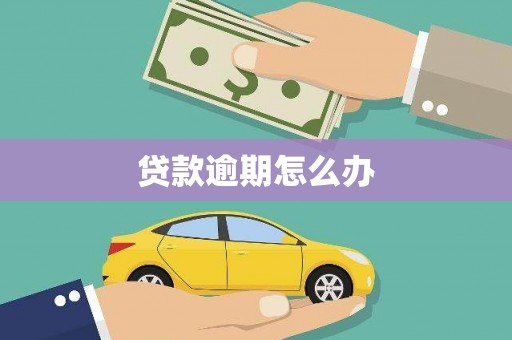 八德贷款逾期怎么办