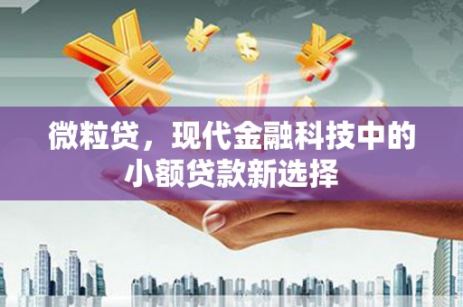 八德微粒贷，现代金融科技中的小额贷款新选择