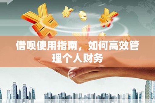 八德借呗使用指南，如何高效管理个人财务