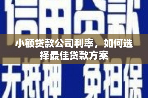 八德小额贷款公司利率，如何选择最佳贷款方案