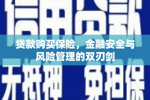 八德贷款购买保险，金融安全与风险管理的双刃剑