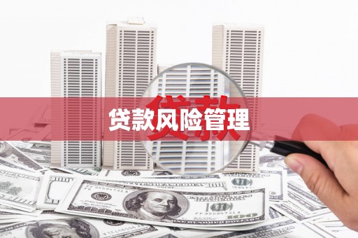 八德贷款风险管理