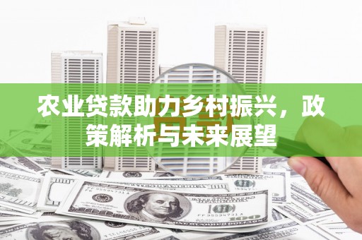 八德农业贷款助力乡村振兴，政策解析与未来展望