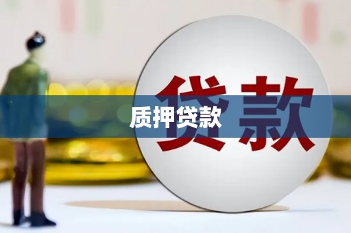 八德质押贷款