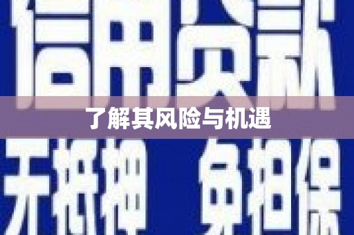八德了解其风险与机遇