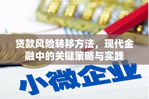 八德贷款风险转移方法，现代金融中的关键策略与实践