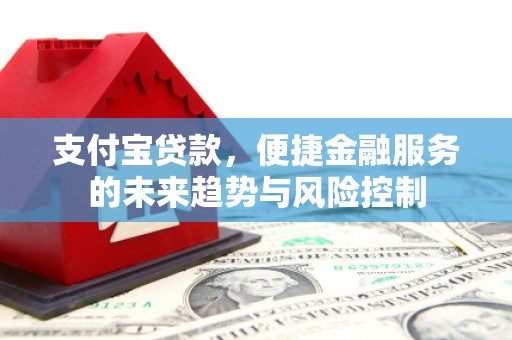 八德支付宝贷款，便捷金融服务的未来趋势与风险控制
