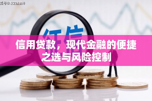 八德信用贷款，现代金融的便捷之选与风险控制
