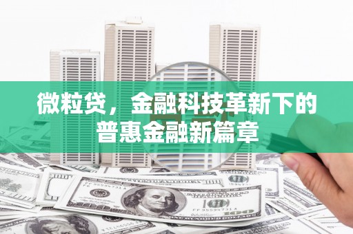 八德微粒贷，金融科技革新下的普惠金融新篇章