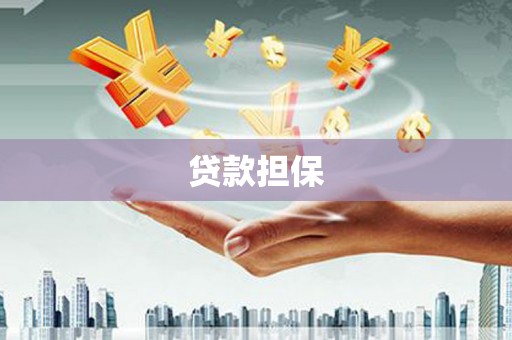 八德贷款担保