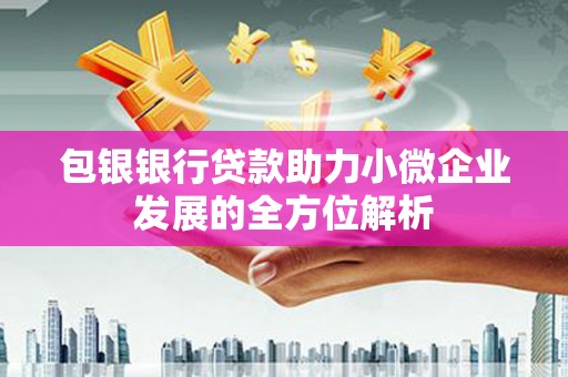 八德包银银行贷款助力小微企业发展的全方位解析