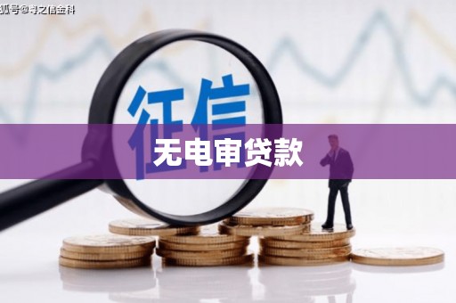 八德无电审贷款