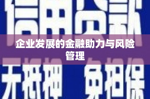 八德企业发展的金融助力与风险管理