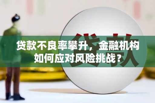 八德贷款不良率攀升，金融机构如何应对风险挑战？
