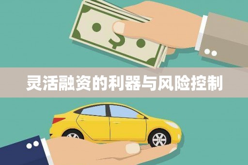 八德灵活融资的利器与风险控制