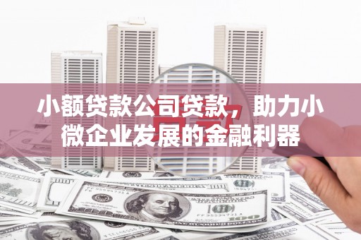 八德小额贷款公司贷款，助力小微企业发展的金融利器