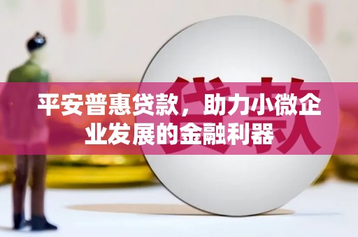八德平安普惠贷款，助力小微企业发展的金融利器