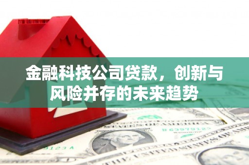 八德金融科技公司贷款，创新与风险并存的未来趋势