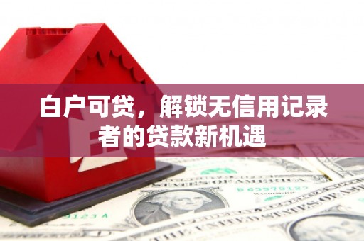 八德白户可贷，解锁无信用记录者的贷款新机遇