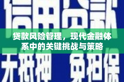 八德贷款风险管理，现代金融体系中的关键挑战与策略