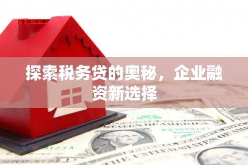 八德探索税务贷的奥秘，企业融资新选择