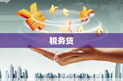 八德税务贷