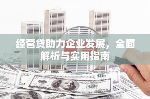 八德经营贷助力企业发展，全面解析与实用指南