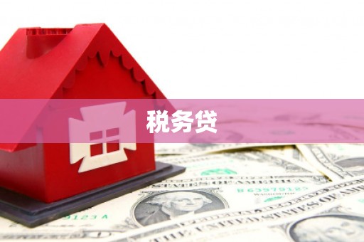 八德税务贷